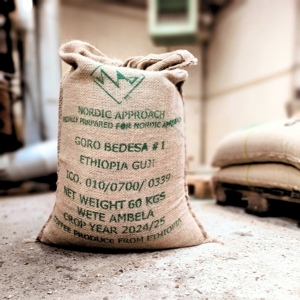 Sourcing and cupping our first coffee: Goro Bedesa, Guji, Ethiopia