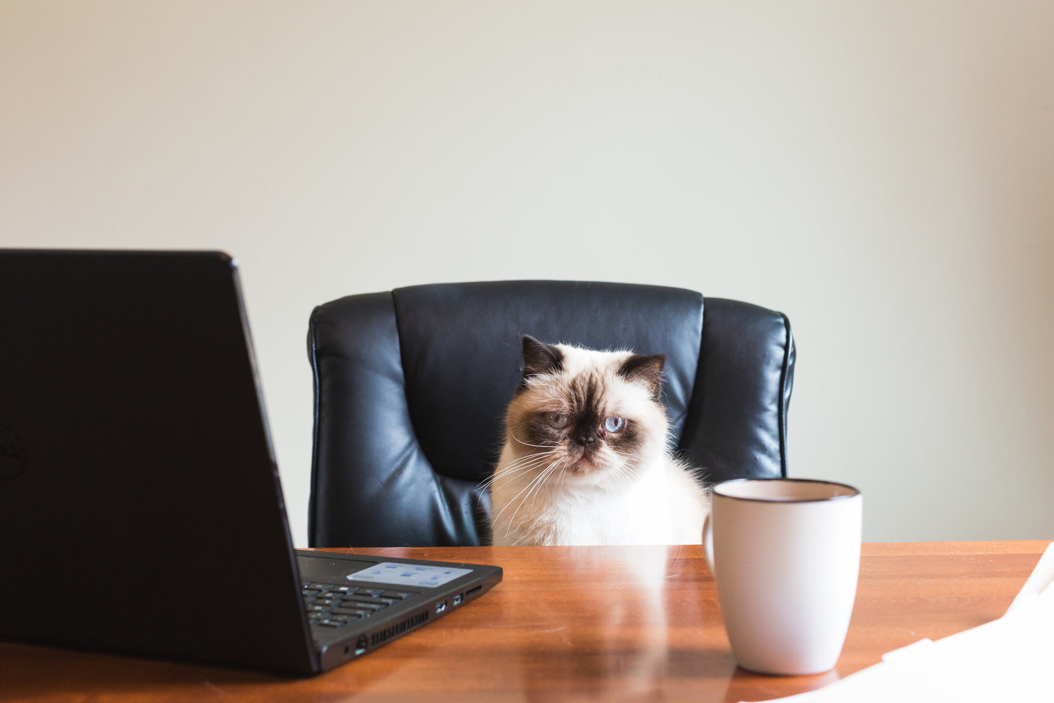 Coffee For Offices